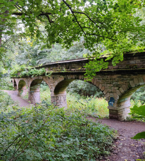 Viaduct with seven arches surrounded by trees and green undergrowth