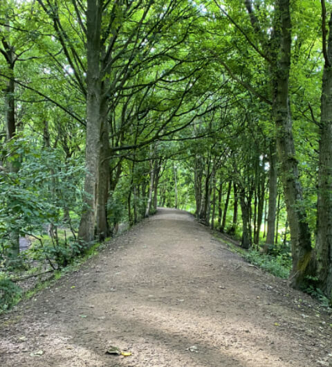 Bramley Fall Woods main footpath through the woods