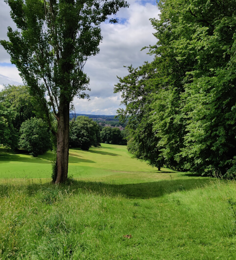 Gotts Park grassy path between trees