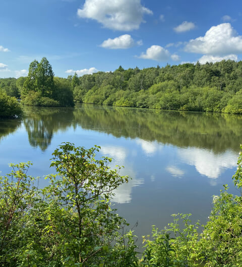 Golden Acre Park view across the lake on a sunny day