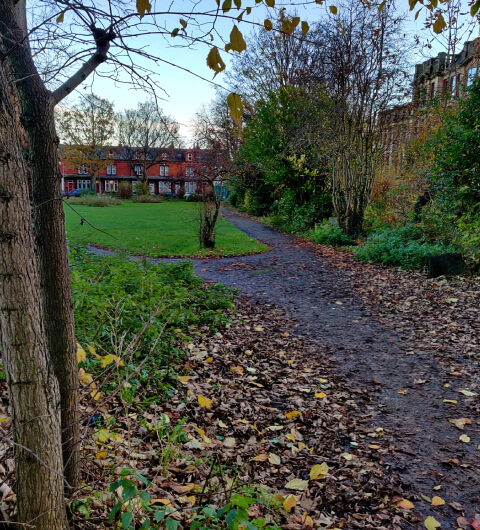 Charlie Cake Park