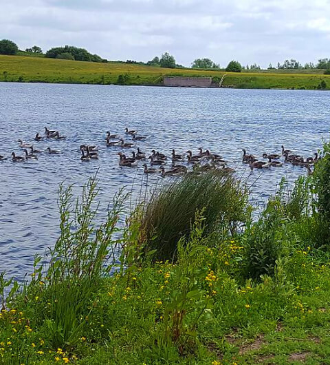 St Aidan’s Nature Reserve
