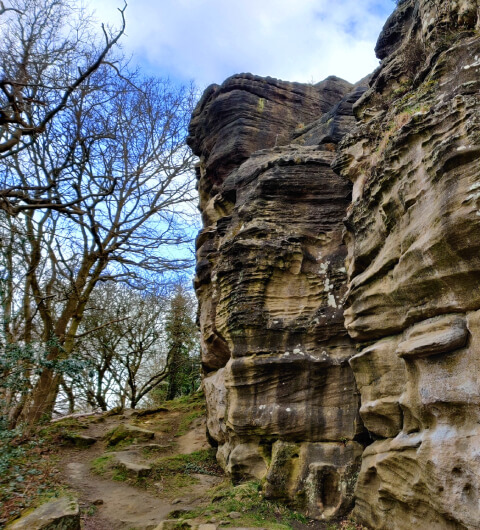 Rocky cliff at Hetchell Wood