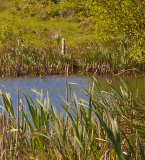 Rothwell Country Park