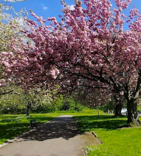 Hunslet Moor Park