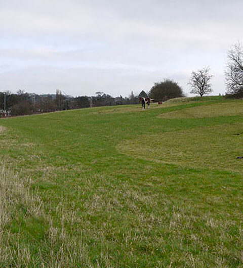 Rein Park