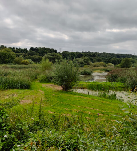 Rodley Nature Reserve