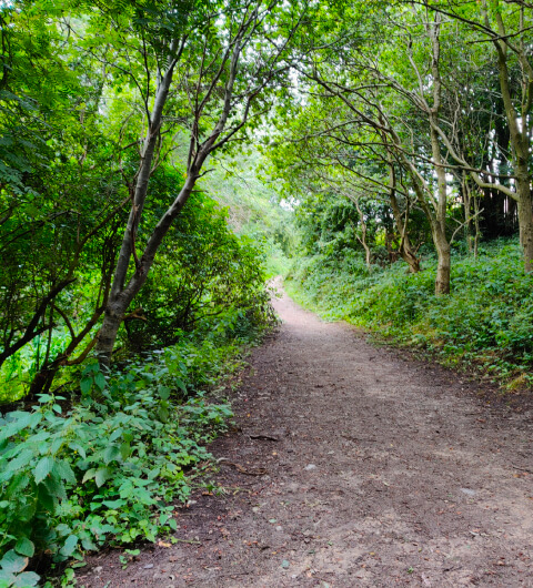 Sugarwell Hill Park path