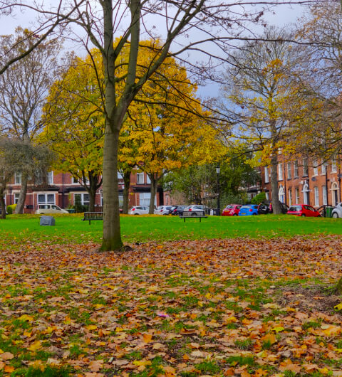 Blenheim Square