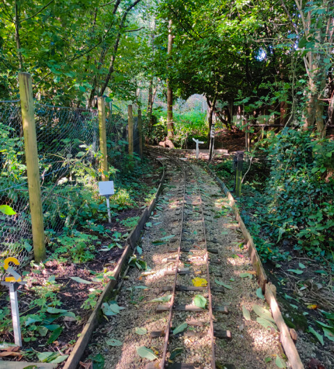Churwell Woods