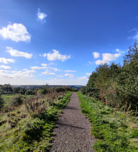 Cabbage Hill