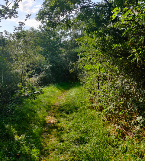 Rothwell Pastures
