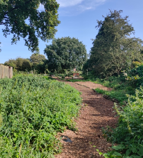 Seacroft Forest Garden