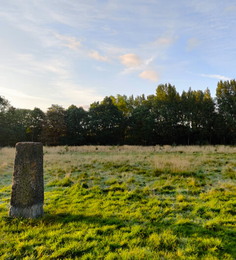 Guru Nanak Woodlands