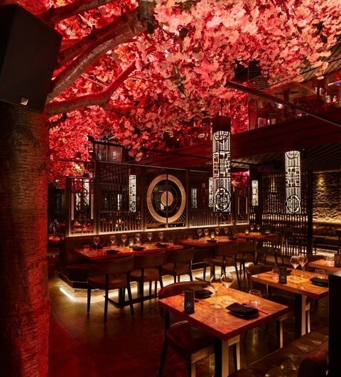 Interior of Tattu restaurant with ambient lighting, pink cherry blossoms overhead, and oriental-style decor.