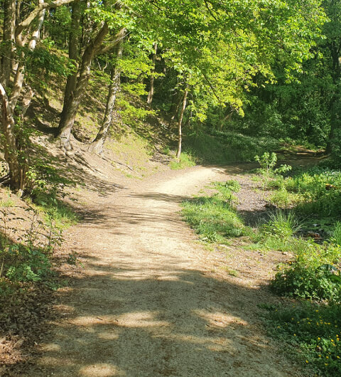 Dry dirt path up into the woods at Post Hill