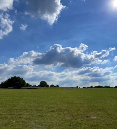Adel Bedquilts Recreation Ground Field with Blue Sky