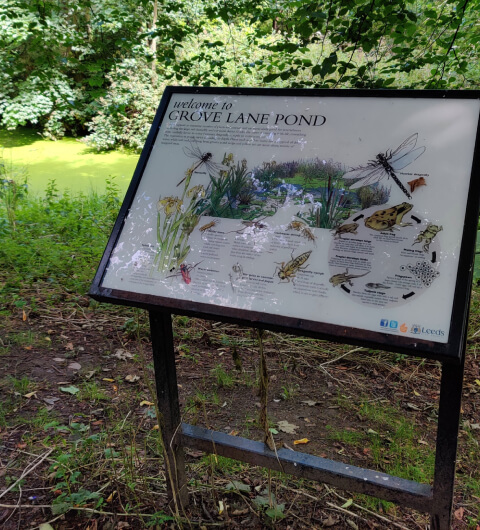 Grove Lane Pond with Sign Grove Lane Pond with Sign