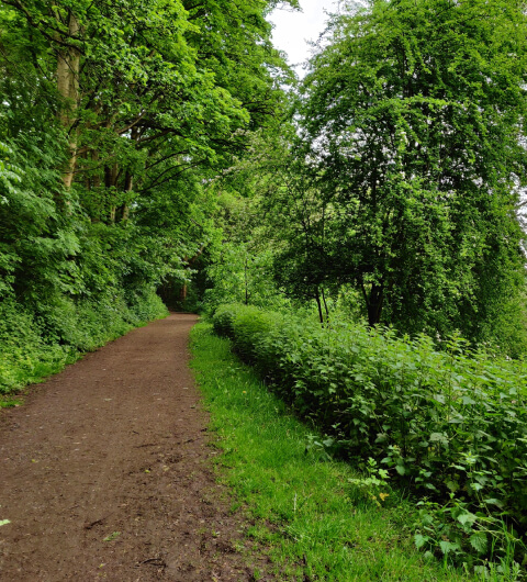 Woodhouse Ridge path