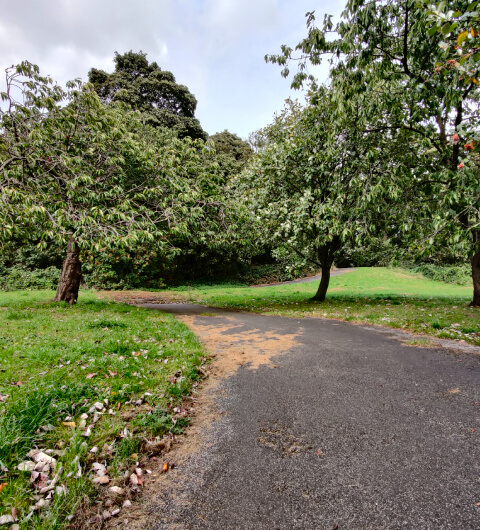 Western Flatts Cliff Park