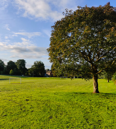 Allerton Grange Fields