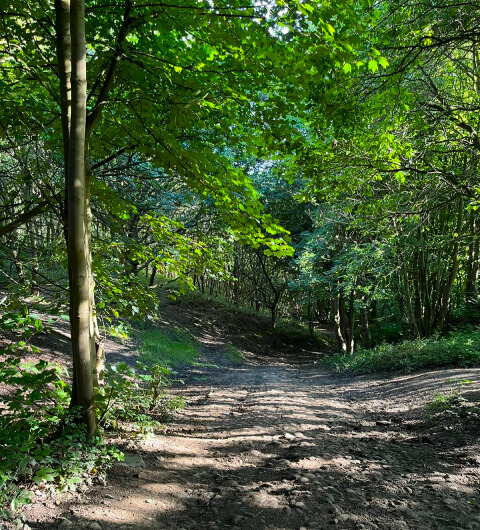Black Carr Wood Leeds