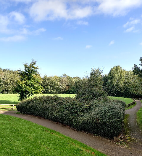 Springfield Mill Park