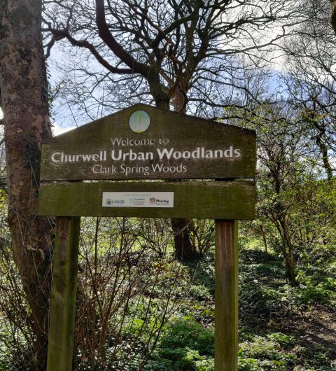 Clark Spring Wood