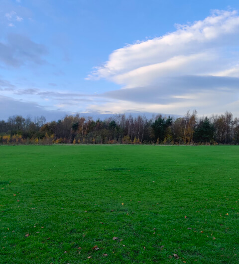 King Alfred's Playing Fields