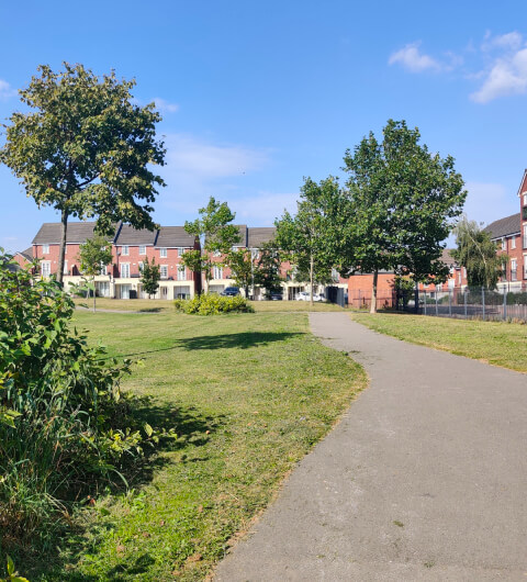 New Forest Community Park
