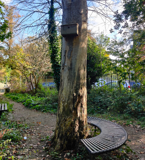 Hartley Avenue Park Hartley Avenue Park