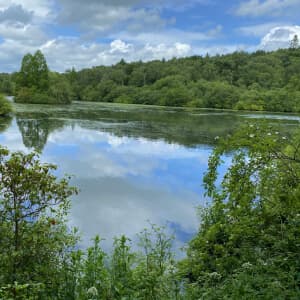 Lake in the afternoon at Golden Acre park