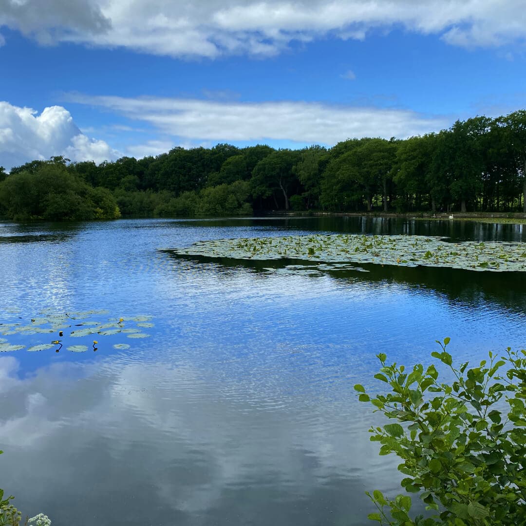 Breary Marsh Lake Pauls Pond