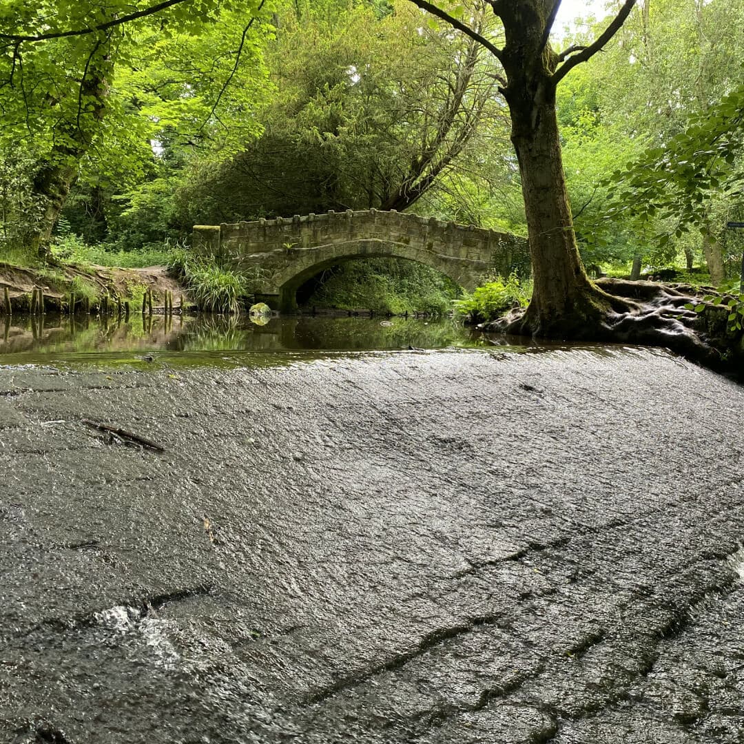 Meanwood Park Meanwood Beck