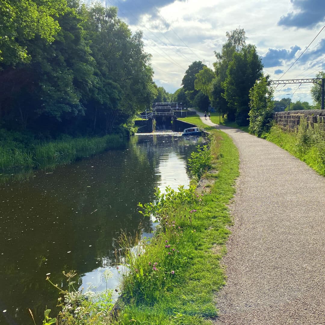Bramley Fall Woods canal in sunshine