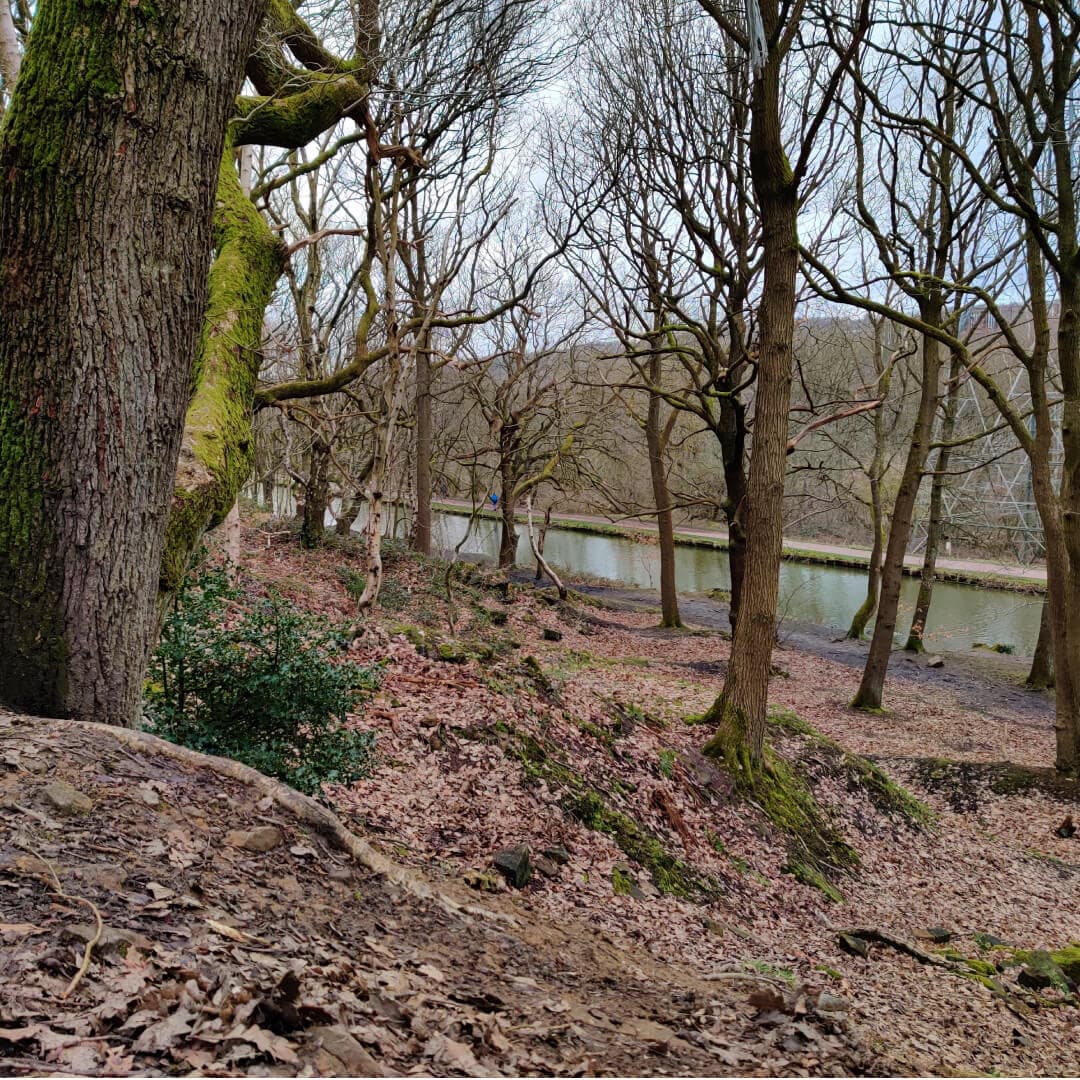 Leeds Liverpool Canal from Bramley Fall Woods