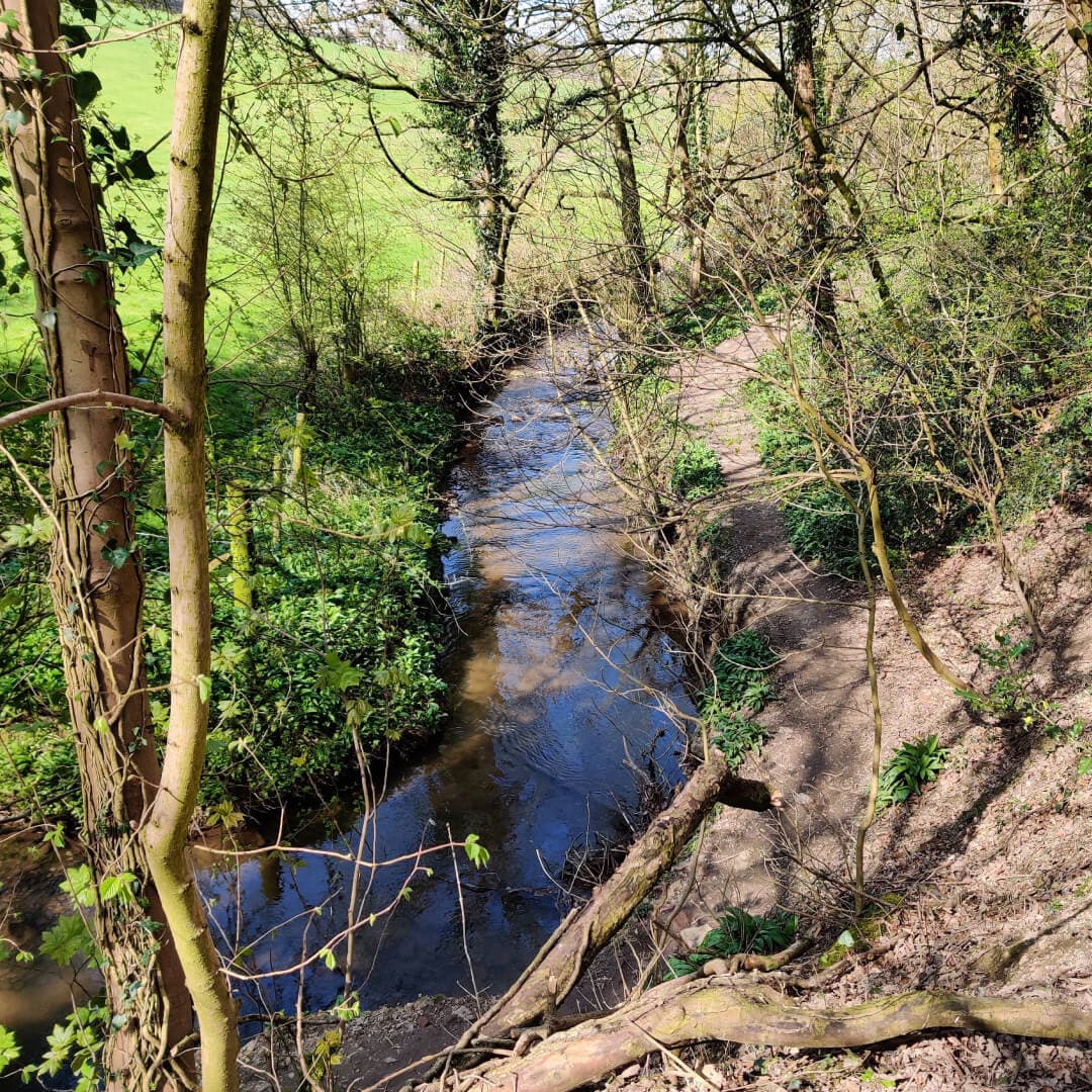 Pudsey Beck in Nan Whins Wood