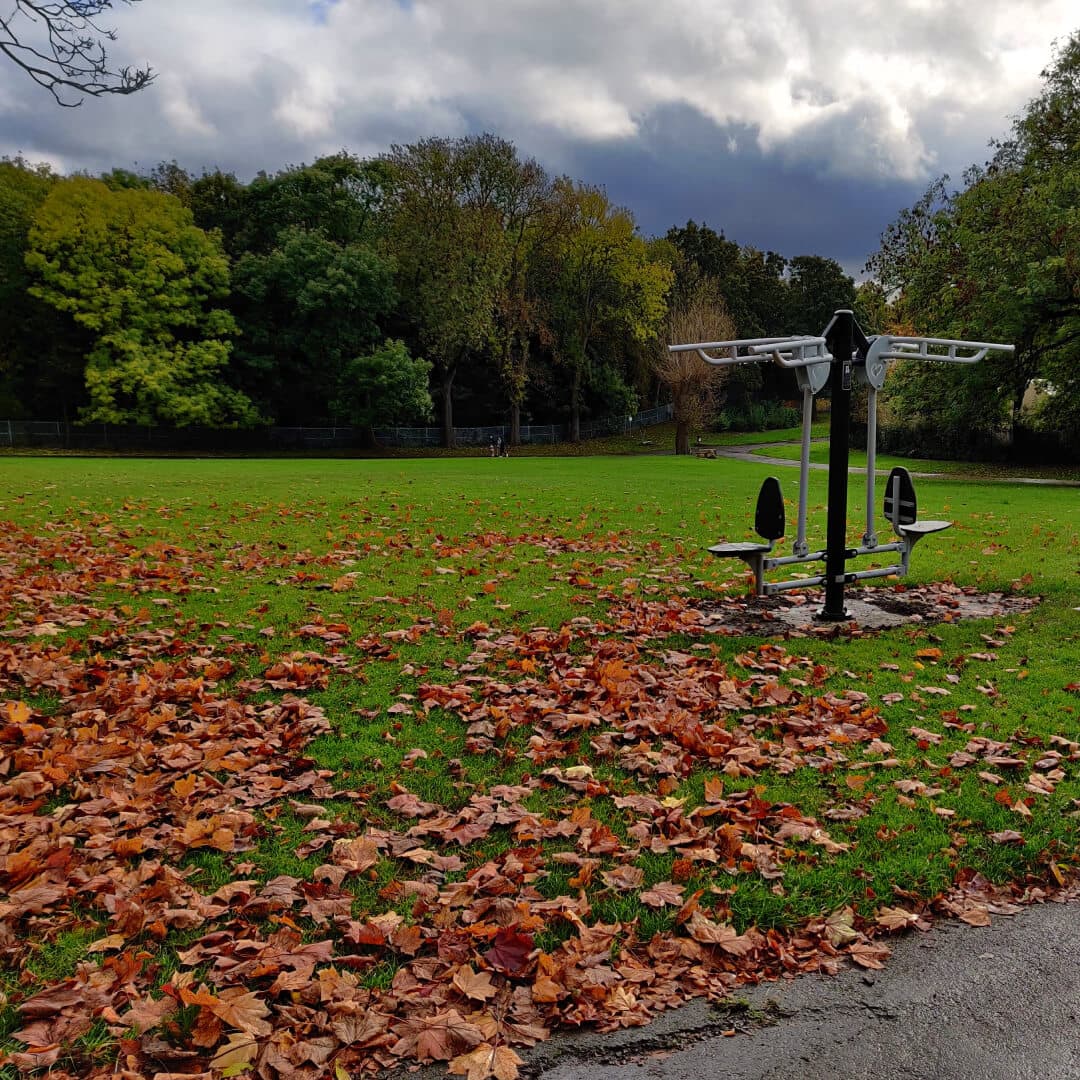 Burley Park outside gym arm exercise