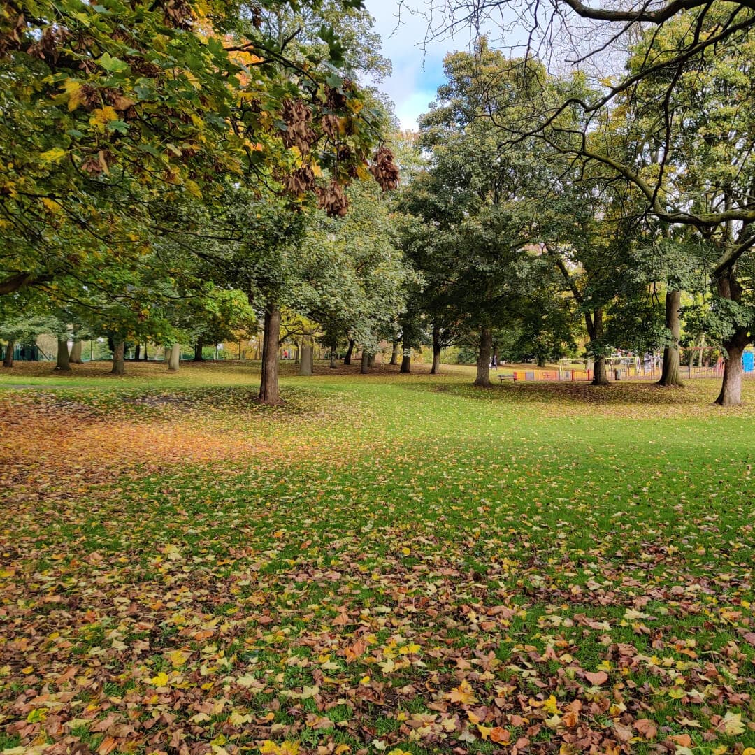 Burley Park field of green grass
