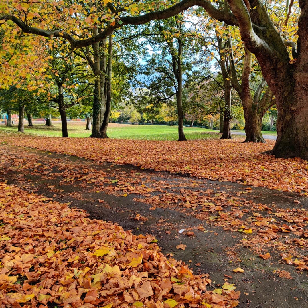 Burley Park path in Autumn