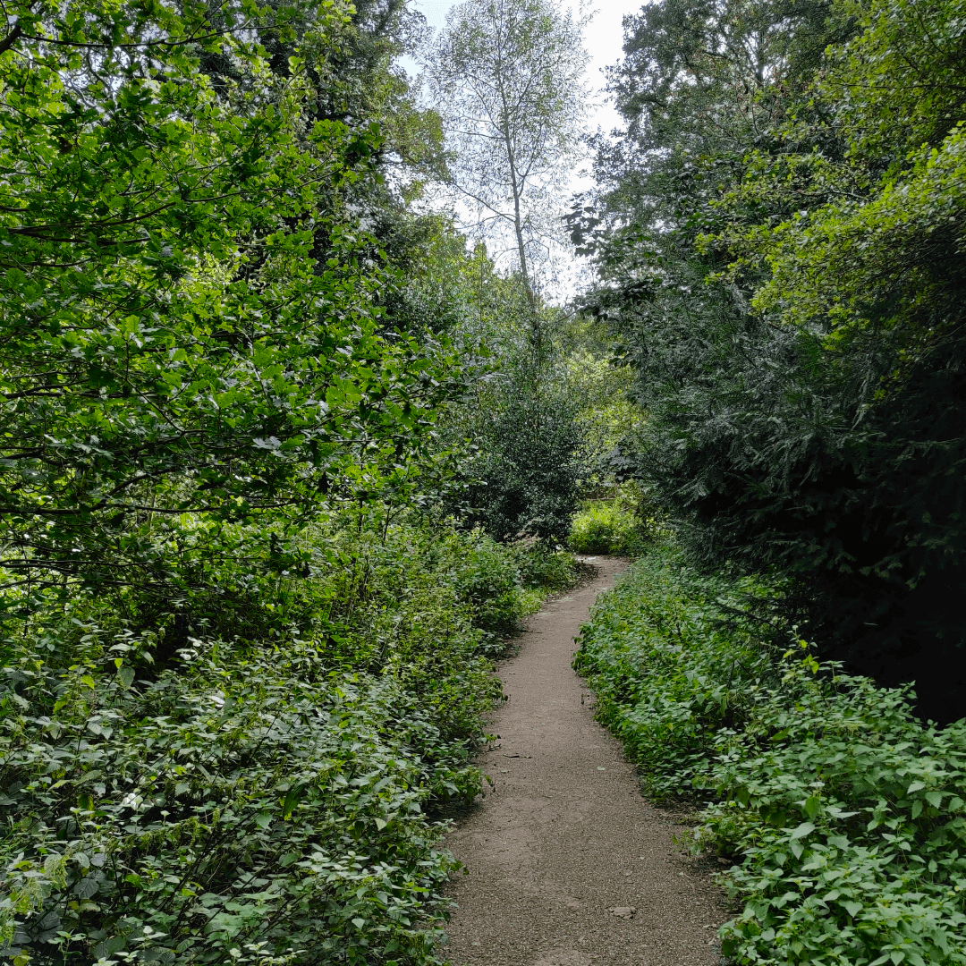 Wykebeck Woods