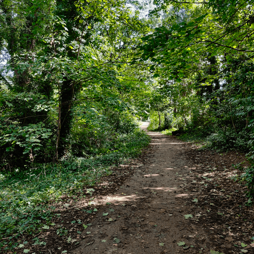 Wykebeck Woods