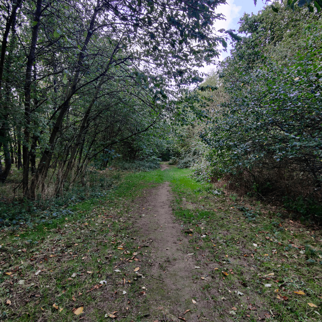 Primrose Valley Park