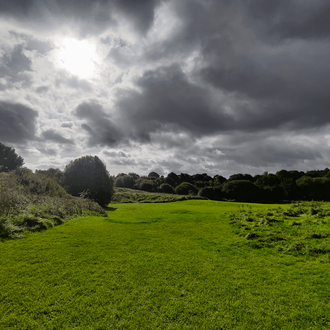 Primrose Valley Park