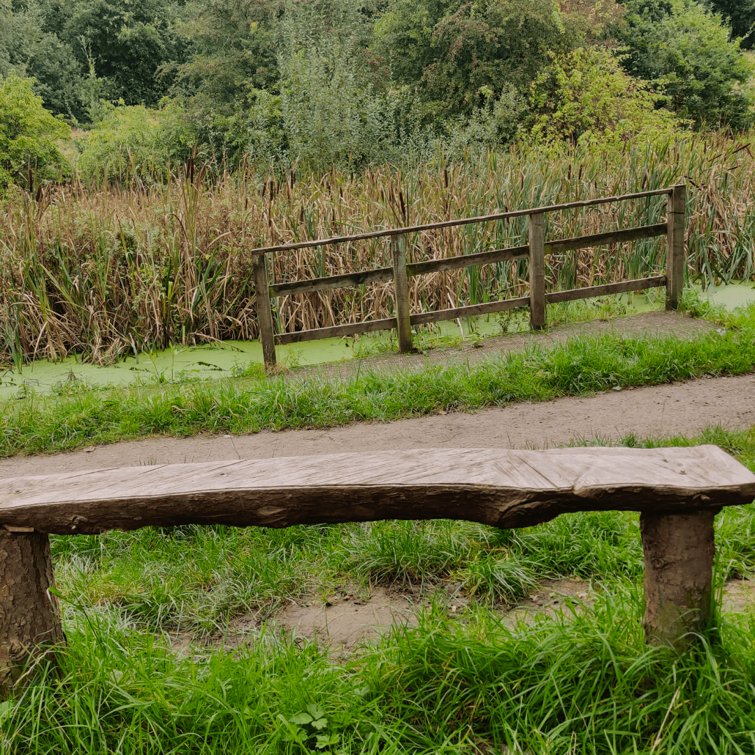 Primrose Valley Park