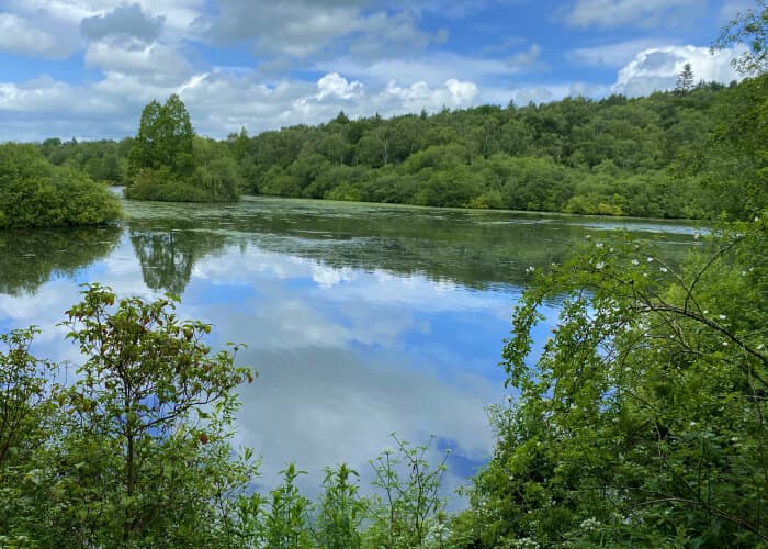 Adel Nature Reserve