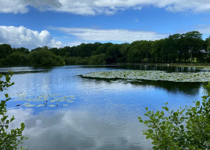 Breary Marsh