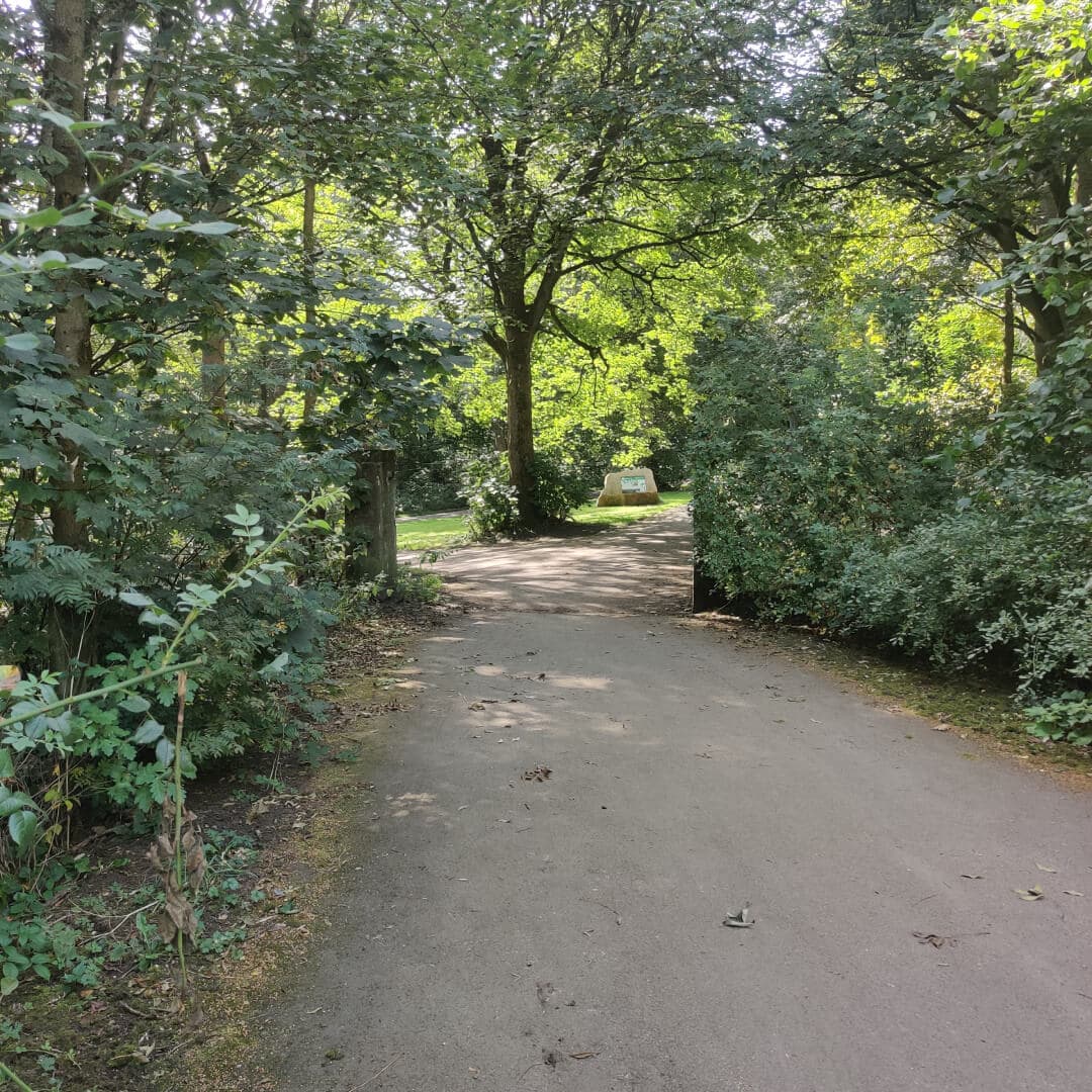 Middleton Woods