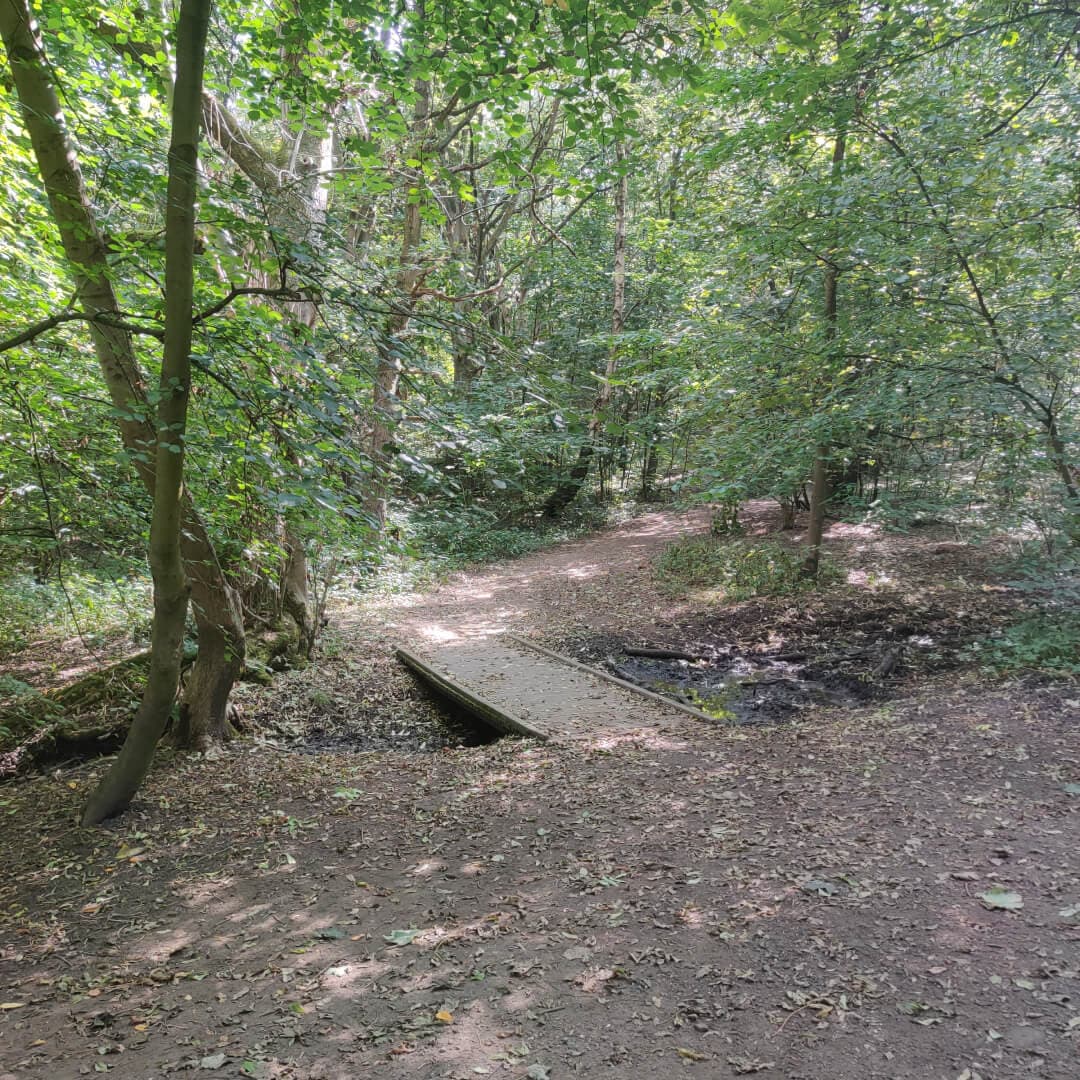 Middleton Woods