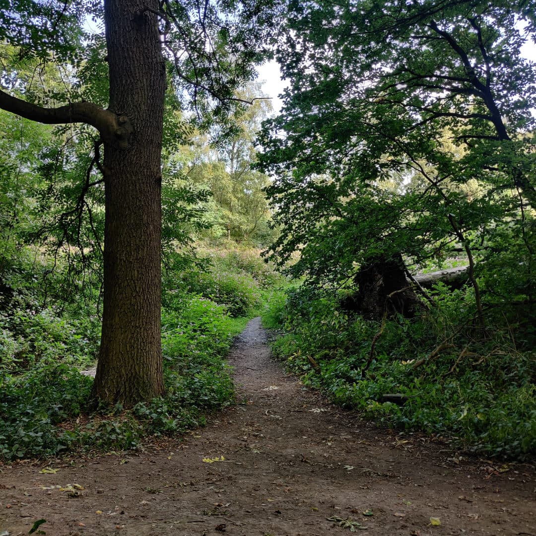 Middleton Park